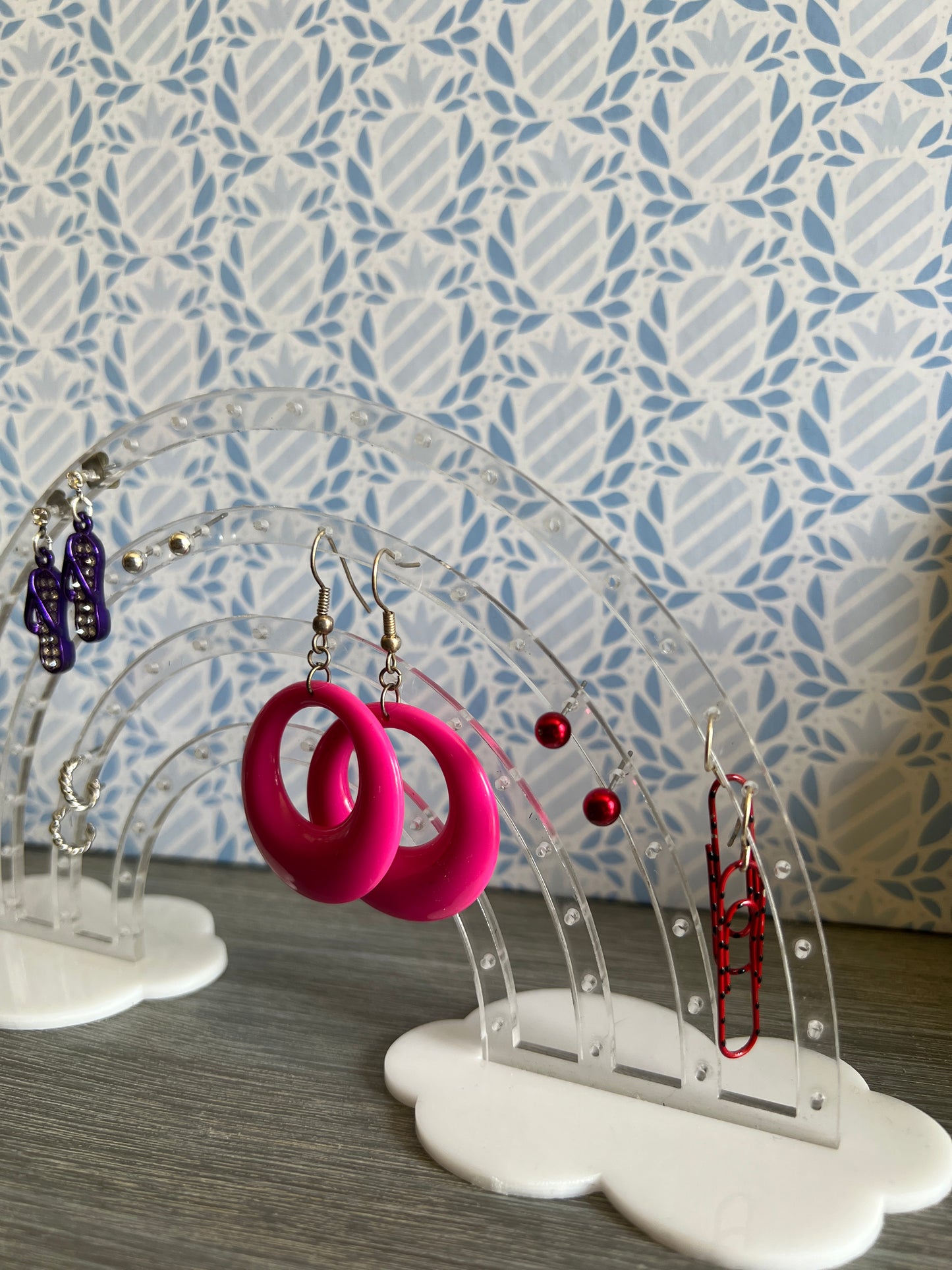 Rainbow Earring Holder