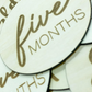 Monthly Milestone Wooden Disc Set